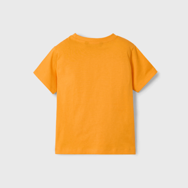 CAMISA ROLLING - Imagen 3